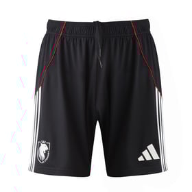 Men's OL 2025/26 Third Europe Shorts
