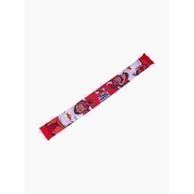 RB Leipzig Bulli Schal