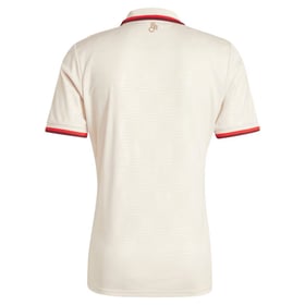 Herren Bayern München 2024/25 Dritte UCL Trikot