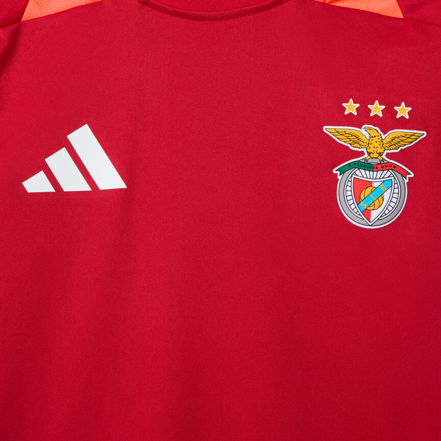 Herren SL Benfica 2024/25 Drittes Authentisches Trainings-Trikot - Rot