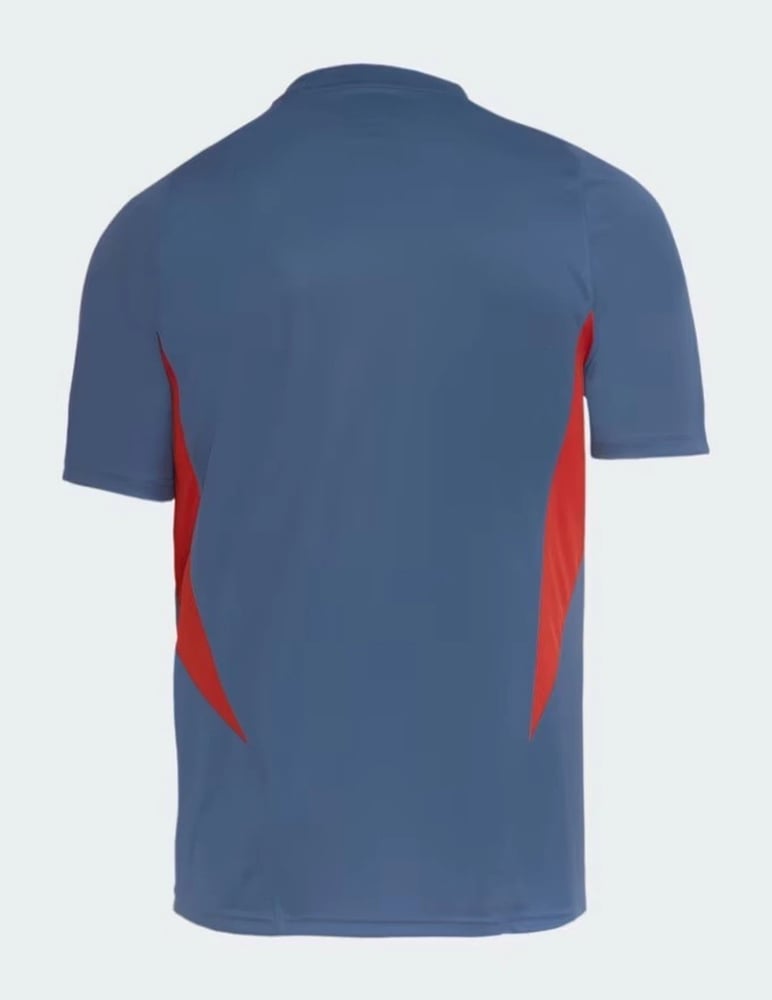 Men's Cruzeiro 2024 Third Authentic Training Shirt - Grey