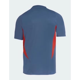 Men's Cruzeiro 2024 Third Authentic Training Shirt - Grey
