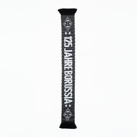 Borussia Mönchengladbach 2025/26 Dritter Schal