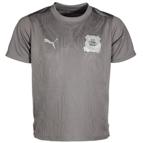 Kind Plymouth Argyle 2024/25 Dritt Authentisches Trainingsshirt - Grau