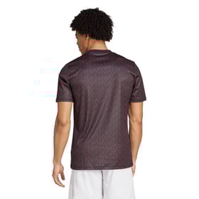Herren Ajax 2024/25 Dritt Präsentationsshirt