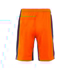 Herren Inter 2023/24 Drittshorts