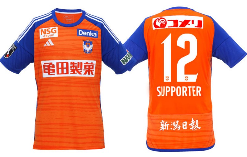 Herren Albirex Niigata 2024 Heimtrikot