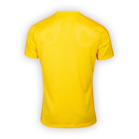 Women's BSC Young Boys 2023/24 Third Authentic Training Shirt