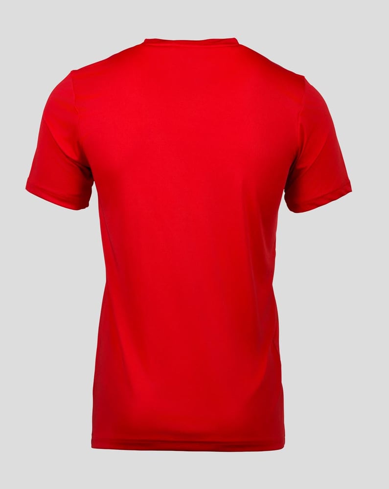 Herren FC Utrecht 2024/25 Drittes Authentisches Lineares Gedrucktes Trainingstrikot