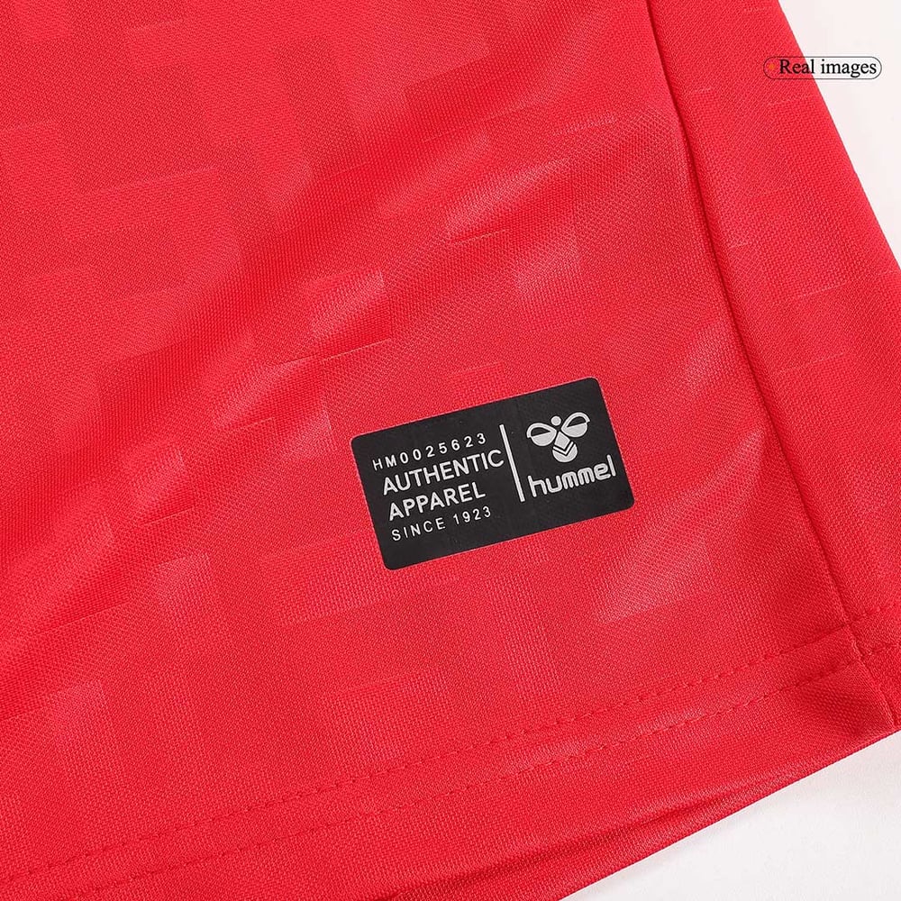 Dänemark Heimtrikot EURO 2024