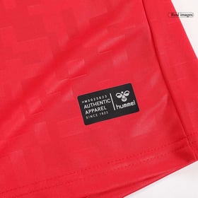 Dänemark Heimtrikot EURO 2024