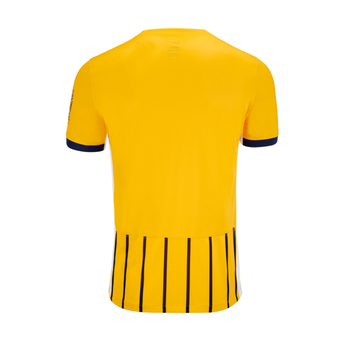 Men's Brighton & Hove Albion 2025/26 Third Shirt