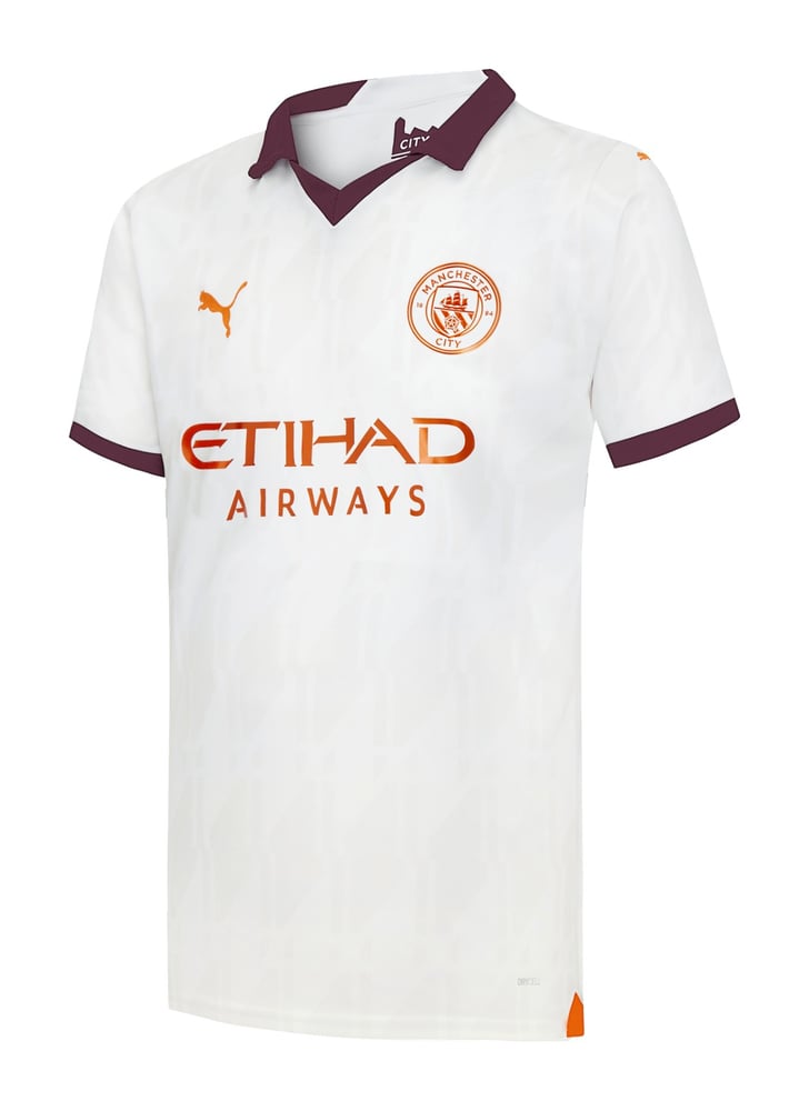 Herren Manchester City 2023/24 Auswärts Trikot