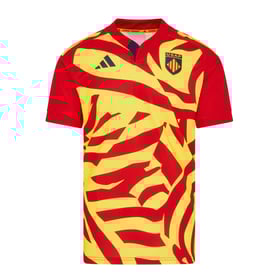 Women's USA Perpignan 2025/26 Away Shirt