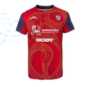 Herren Cagliari Calcio 2024/25 Spezialtrikot