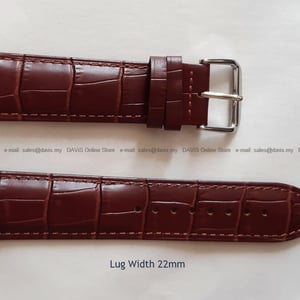 100 2024 11 30 Brown Strap 22x20 mm
