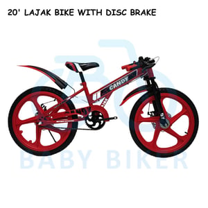 119 2024 11 26 BICYCLE(8)
