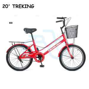 119 2024 11 28 20' TREKLING