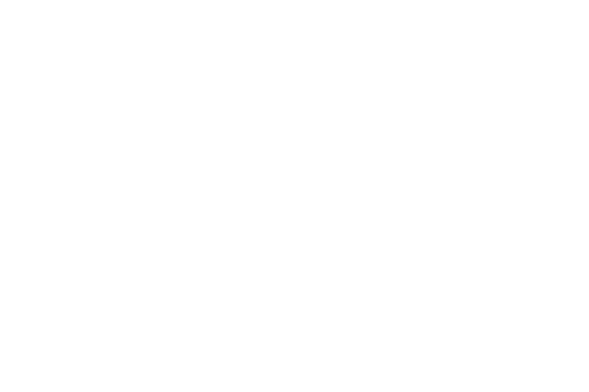 White Logo (Transparent Background)