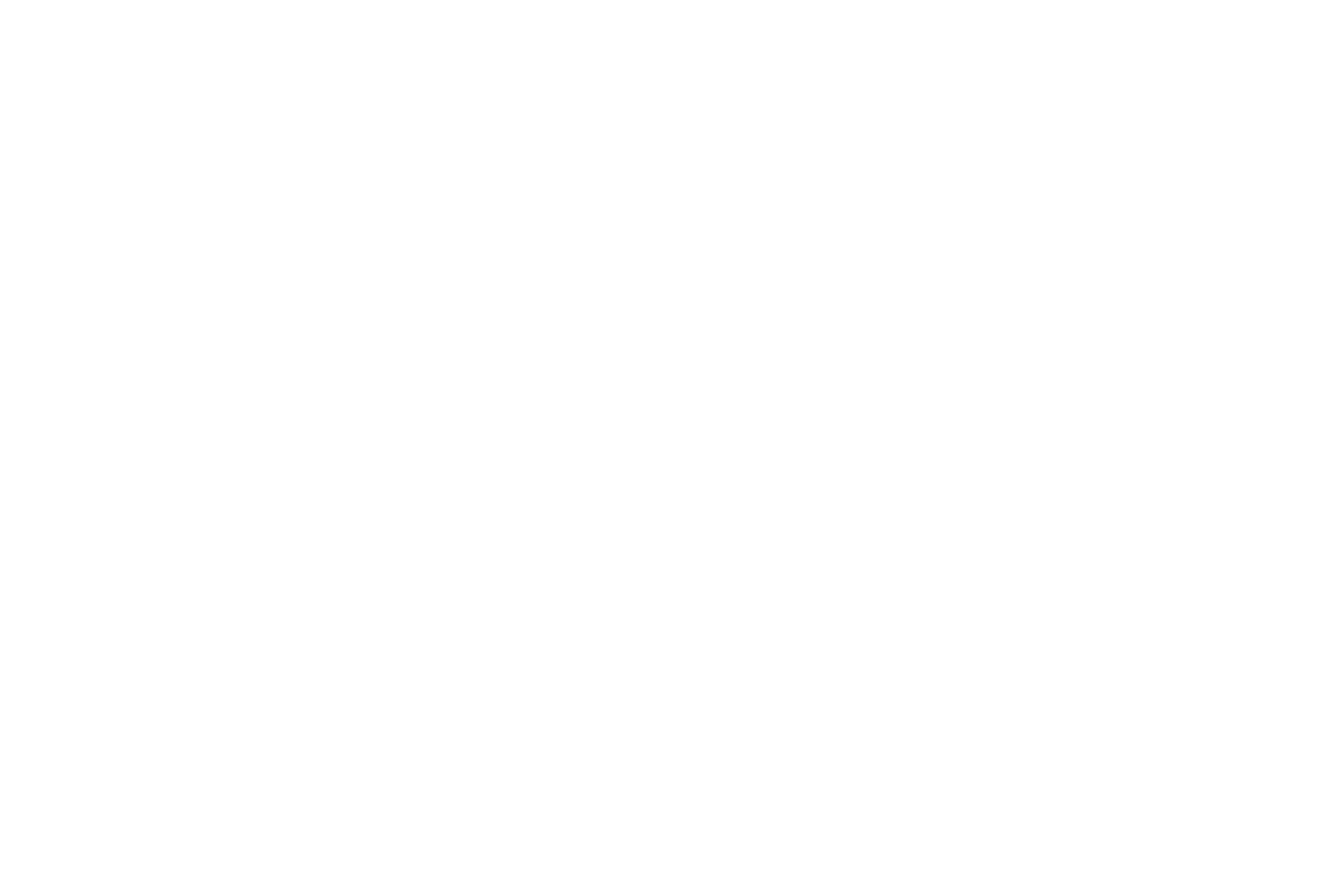 White Logo (Transparent Background)