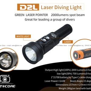 100 2025 04 07 d2l info