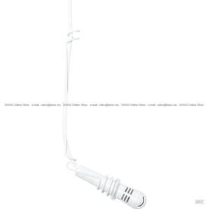 100 2025 04 28 chm99 white