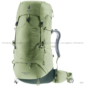 100 2025 08 29 aircontact lite 45 plus 10 sl grove ivy 3340223 1214
