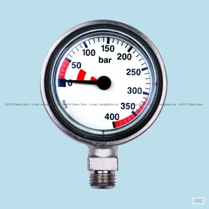 100 2025 09 11 pressure gauge capsule without swivel ti gg pg