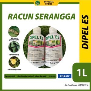 293 2026 02 02 Mr racun