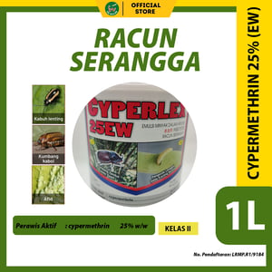 293 2026 02 02 dr racun
