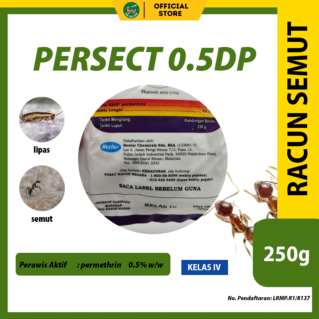 293 2026 02 03 dr racun
