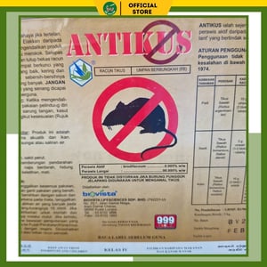 293 2026 02 08 Q Antikus 5kg (12)