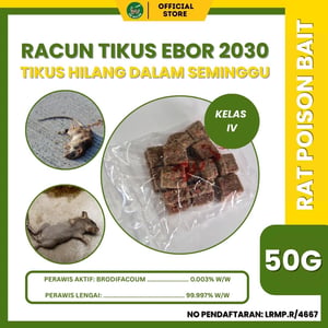 293 2026 02 08 Q Ebor