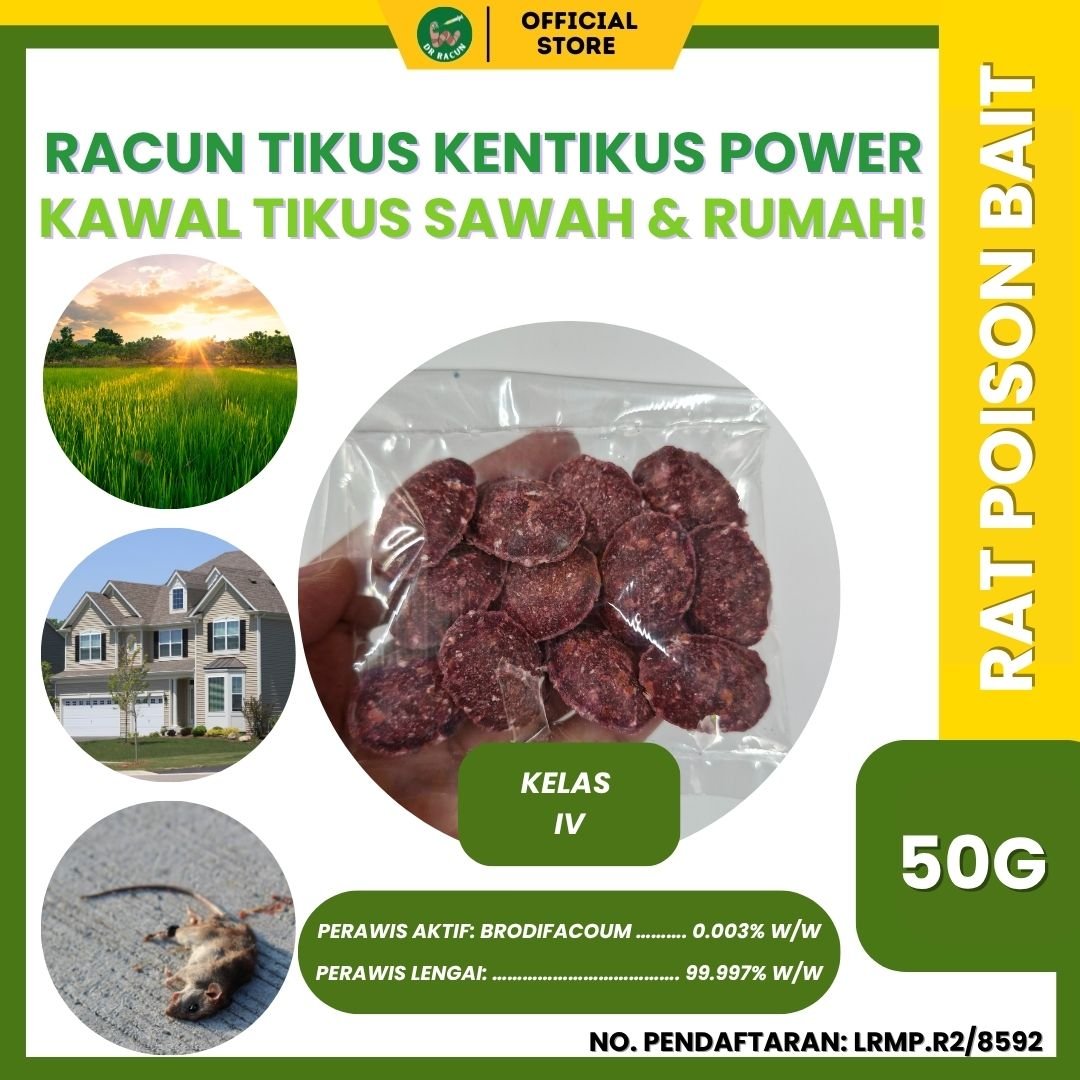 293 2026 02 08 Q Kenso Kentikus