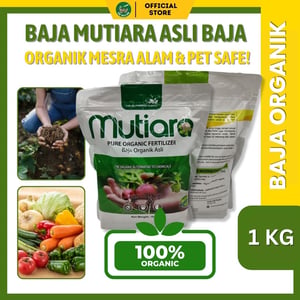 293 2026 02 09 Q Baja Mutiara 1kg