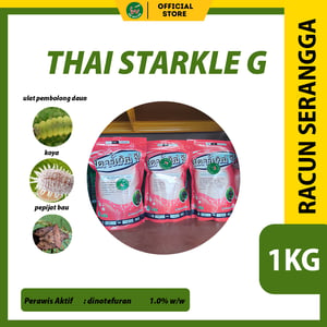 293 2026 02 09 dr racun