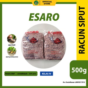 293 2026 02 09 dr racun