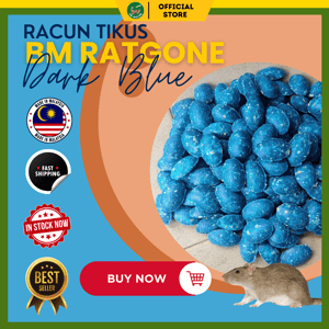 293 2026 02 10 7 DR RACUN