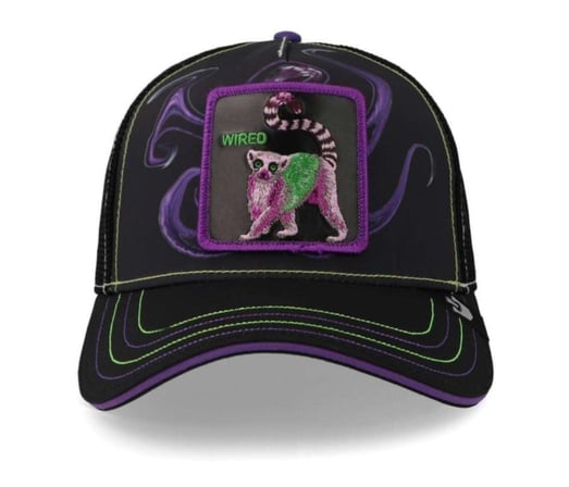 Gorra trucker Goorin Bros Wired This is The Drip