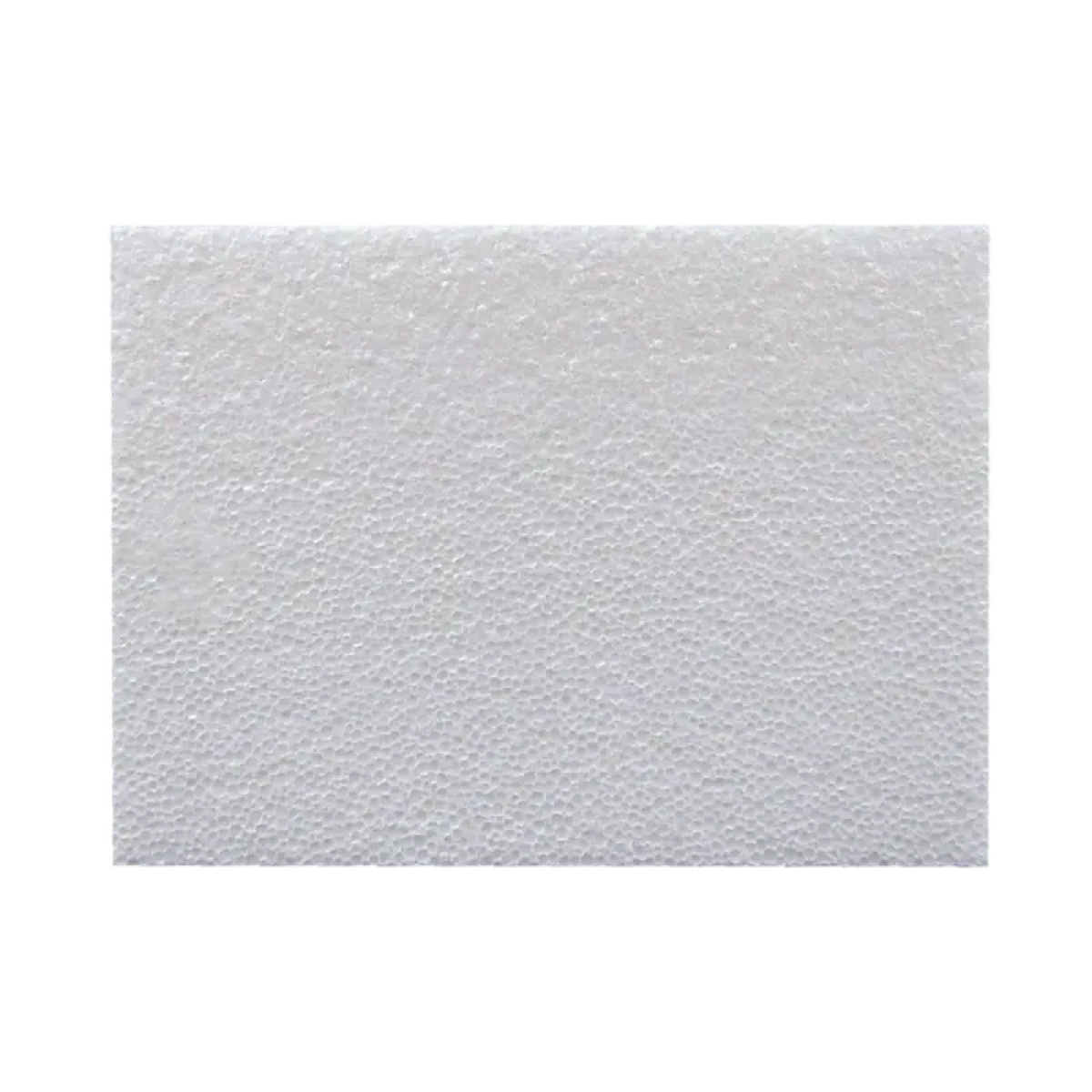 ESPUMA FLEX PANEL 10CM  200X100 