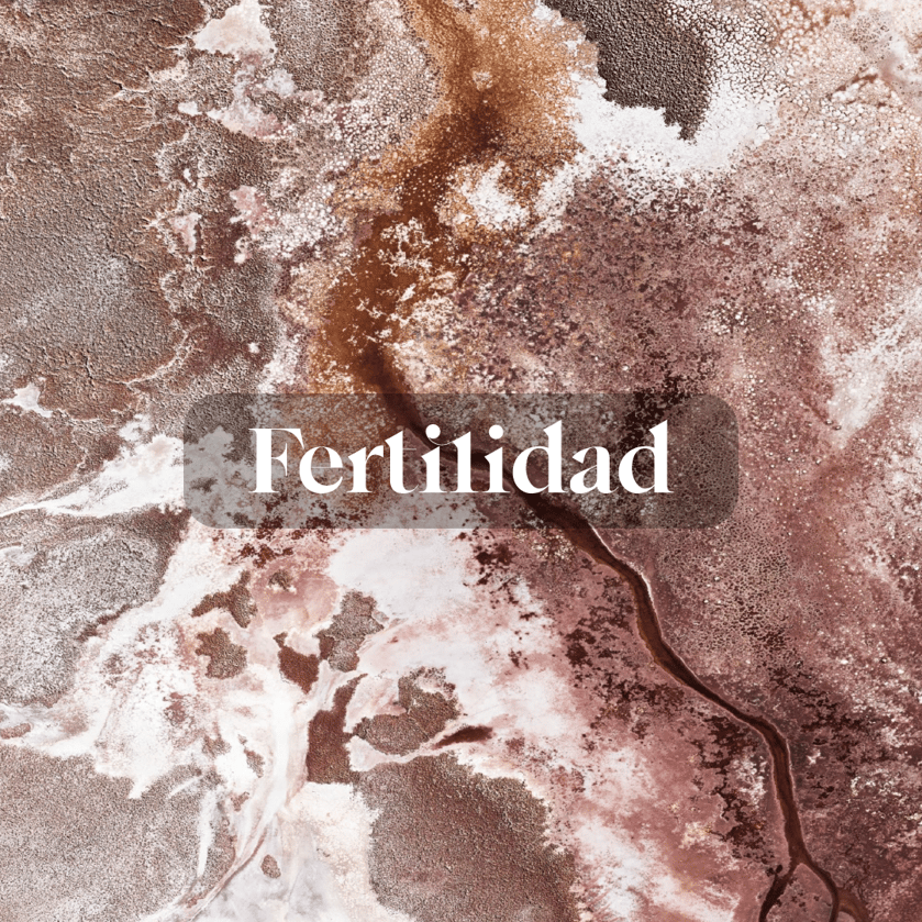 Fertilidad