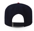 GOORIN BROS ONE PACK LONE WOLF