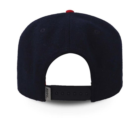 GOORIN BROS ONE PACK LONE WOLF