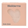 Wellderma Gua Sha Jade Caj*1
