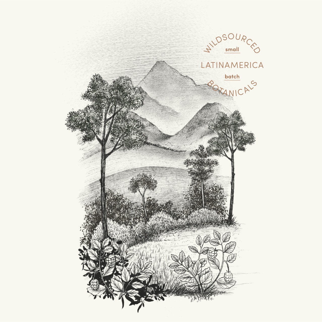 promo_section_slider_1711635395