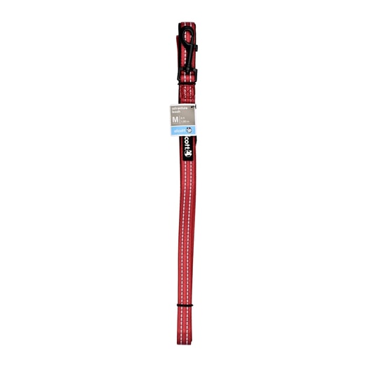 Alcott Correa Adventure M Roja Extenions 180 Cm Und*1