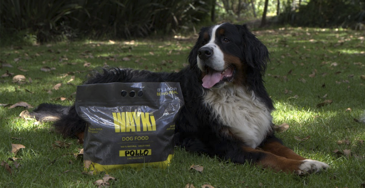 Frozen food: Impacto en la calidad de vida de tu perro