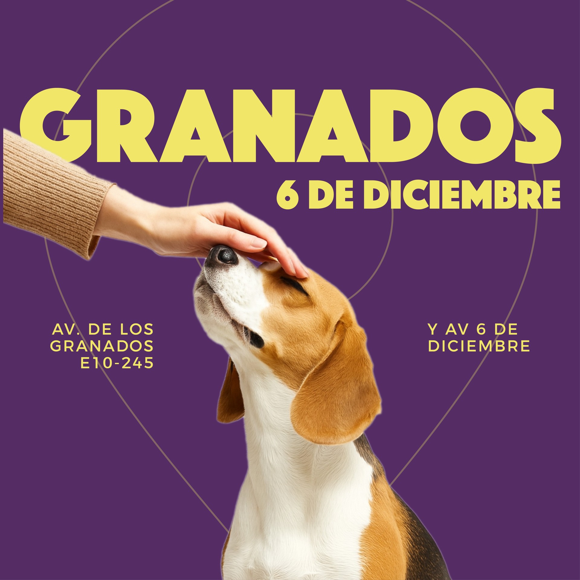 Granados 6 de diciembre