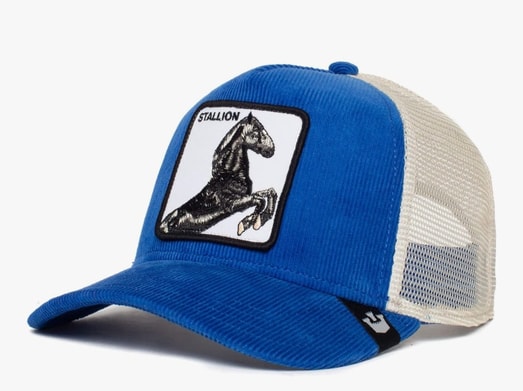 GOORIN BROS SLY STALLION BLUE