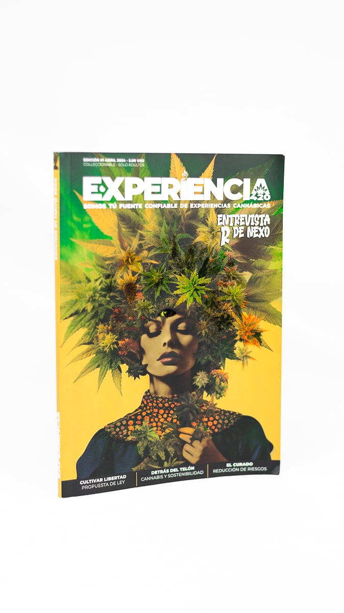 img-Revista Experiencia 420